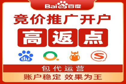 某某sem公司成功案例：如何通过SEM提升教育品牌影响力